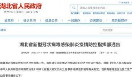 湖北最新爆料消息,揭秘神秘事件背后的真相